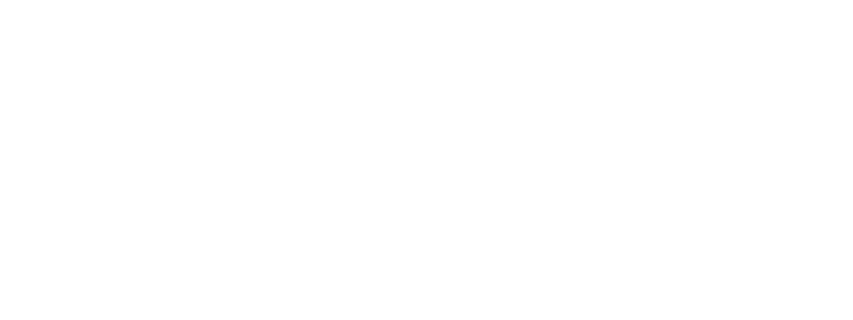 BEMER Logo
